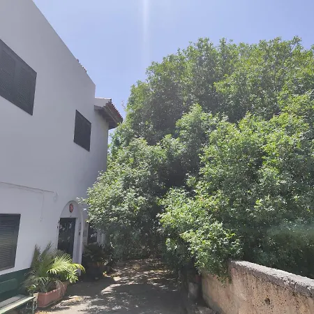 La Casa Del Almacigo Arona (Tenerife)